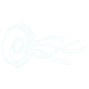 Волна Рекордс